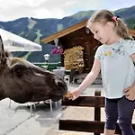 Jaga-alm Целль-ам-Зе