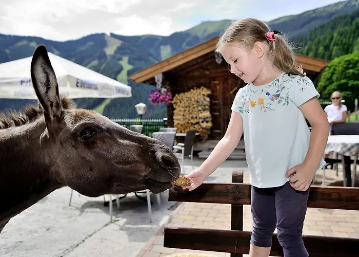 Jaga-alm Zell am See