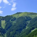Jaga-alm 3* Zell am See